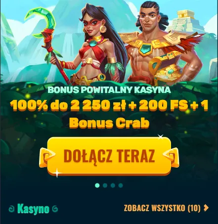 Baner Spinanga Polska